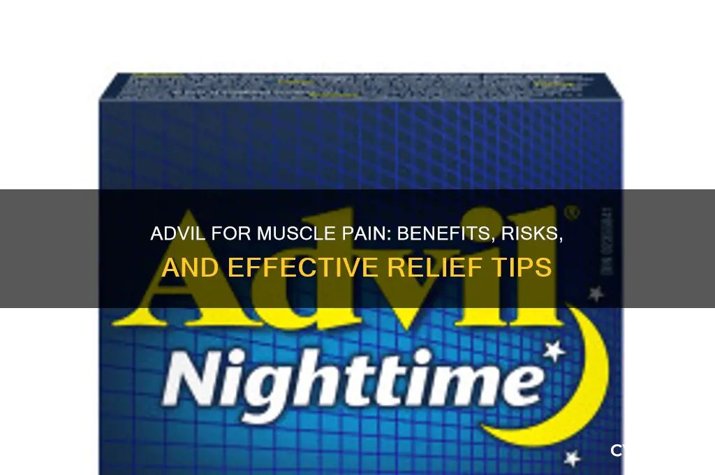 is advil good for muscle pain