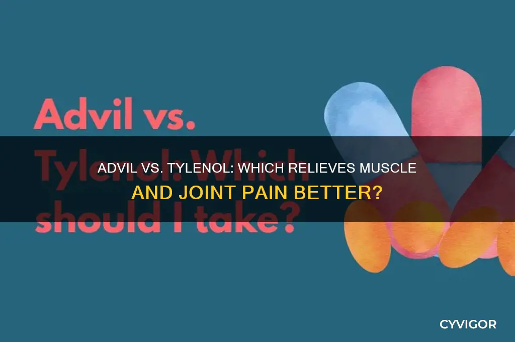 is advil or tylenol better for muscle and joint pain