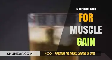 Advocare for Muscle Gain: Effective Supplement or Overhyped Product?