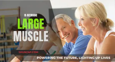 Aerobic Large Muscle Training: Benefits and Applications