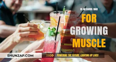 Alcohol and Muscle Growth: Uncovering the Truth for Fitness Enthusiasts