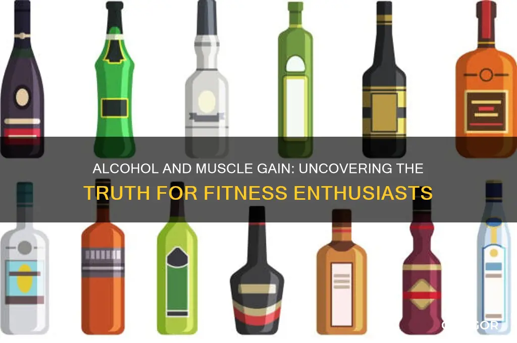 is alcohol bad for gaining muscle