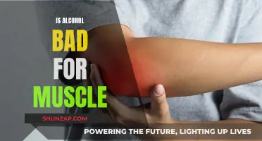 Alcohol's Impact on Muscle Growth and Repair