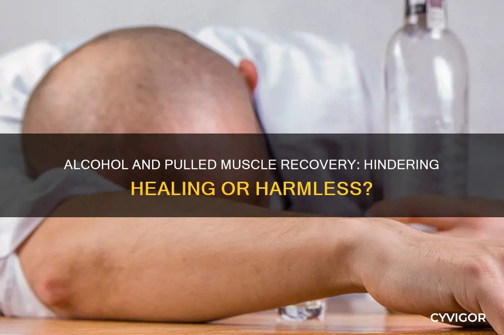 is alcohol bad for pulled muscle recovery