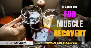 Alcohol and Muscle Recovery: Debunking Myths for Optimal Fitness