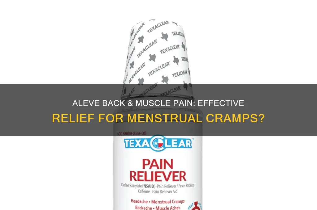 is aleve back and muscle pain good for menstrual cramps