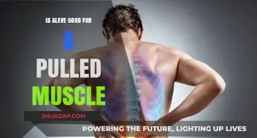 Is Aleve Effective for Pulled Muscle Relief? Expert Insights