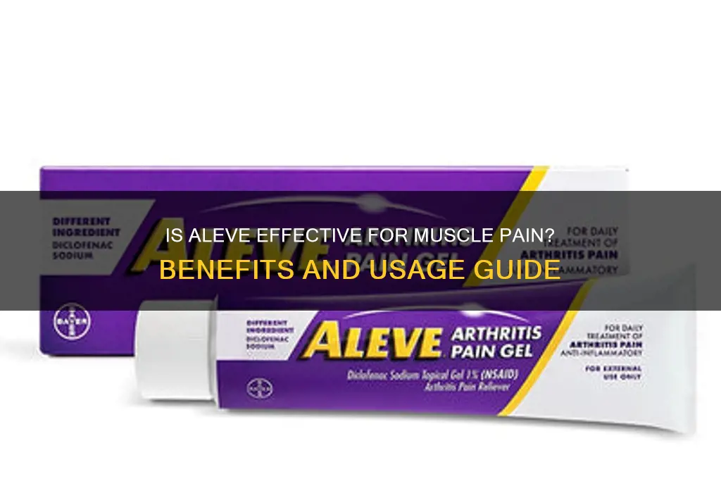 is aleve good for muscle pain