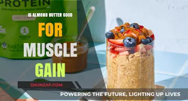 Almond Butter for Muscle Gain: Benefits, Nutrition, and Usage Tips