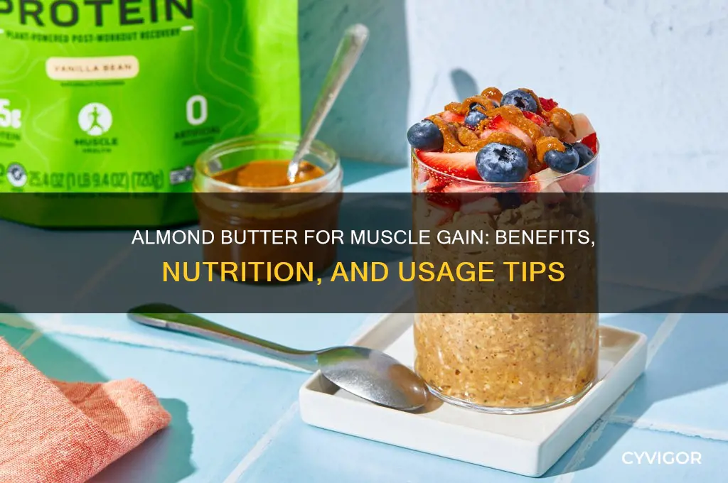 is almond butter good for muscle gain