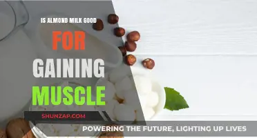 Almond Milk for Muscle Gain: Benefits, Nutrition, and Effectiveness