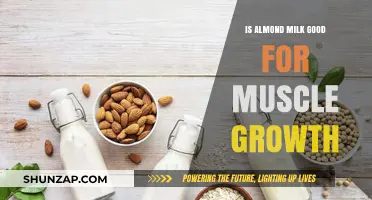 Almond Milk and Muscle Growth: Benefits, Myths, and Best Practices