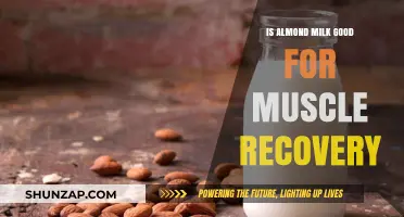 Almond Milk Benefits: Boosting Muscle Recovery After Intense Workouts