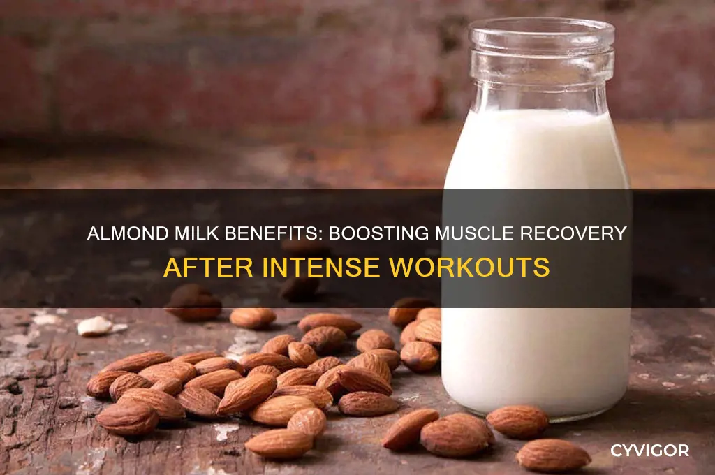 is almond milk good for muscle recovery