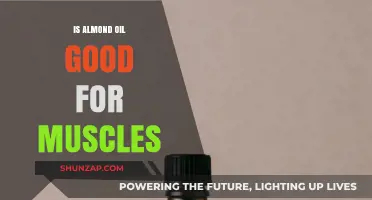 Almond Oil Benefits: Enhancing Muscle Recovery and Performance Naturally