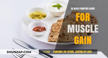 Aloo Paratha for Muscle Gain: Nutritional Benefits and Fitness Impact