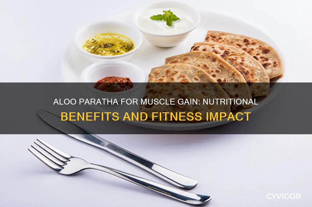 is aloo paratha good for muscle gain