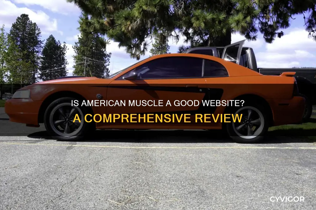 is american muscle a good website