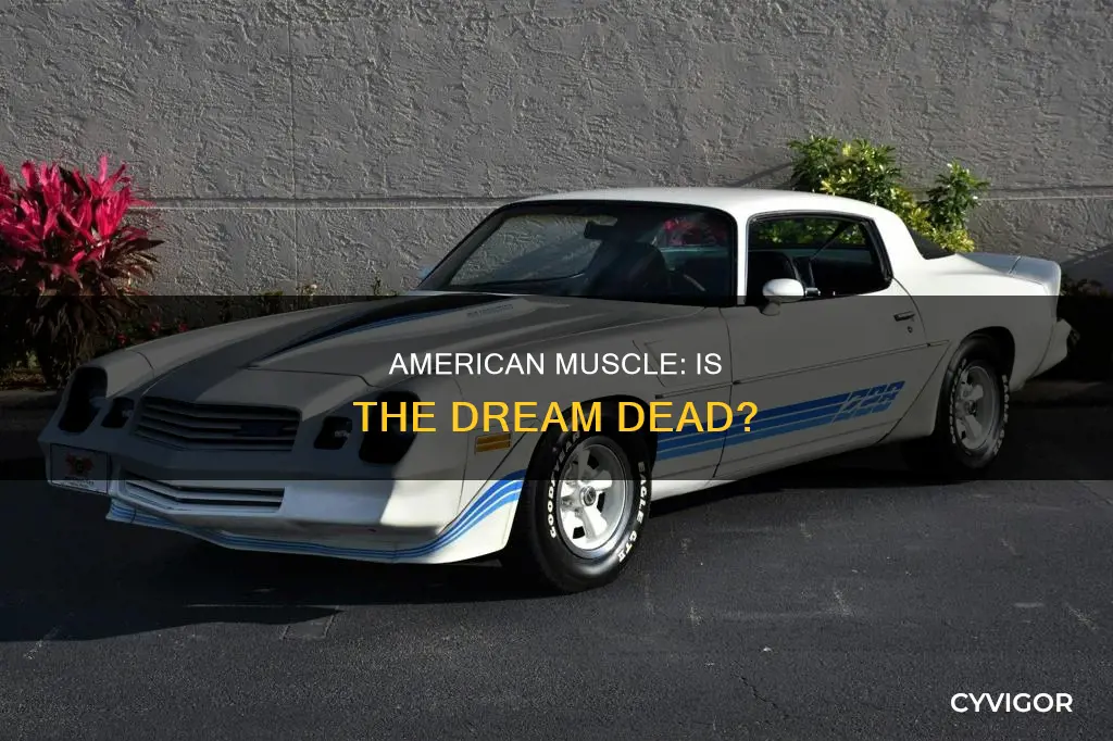 is american muscle down