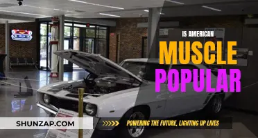 American Muscle: Still a Cultural Icon?