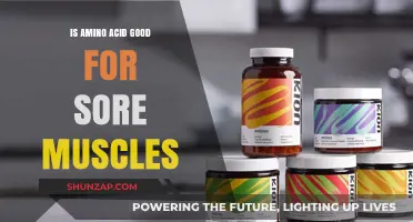 Amino Acids for Sore Muscles: Recovery Benefits and How They Work