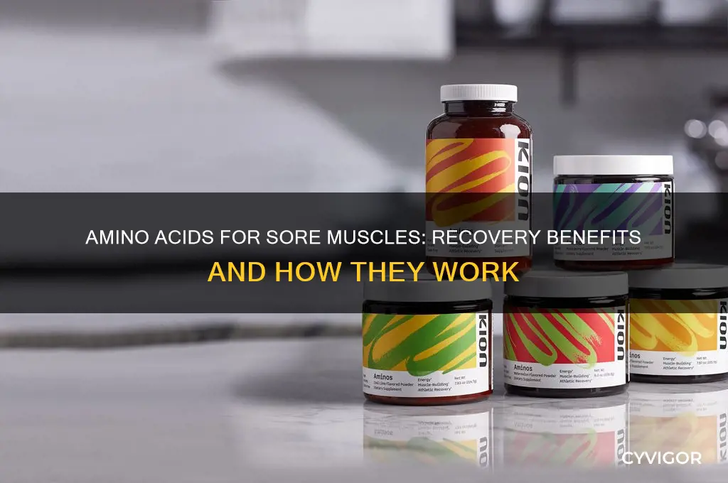 is amino acid good for sore muscles
