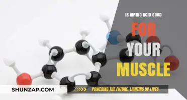 Amino Acids and Muscle Growth: Unlocking Strength and Recovery Benefits