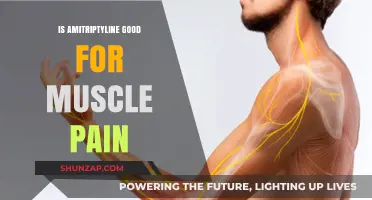 Amitriptyline for Muscle Pain: Benefits, Risks, and Effectiveness Explained