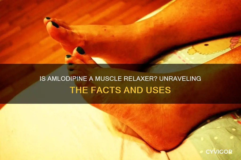 is amlodipine a muscle relaxer