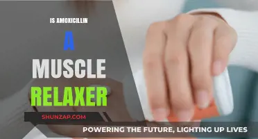 Is Amoxicillin a Muscle Relaxer? Unraveling the Truth and Uses