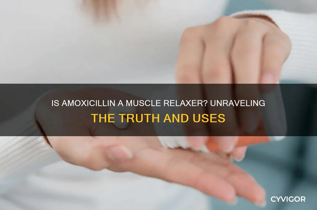 is amoxicillin a muscle relaxer