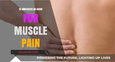 Amoxicillin for Muscle Pain: Effective Treatment or Misguided Approach?