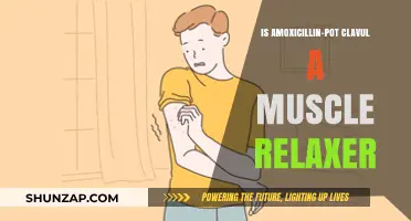Is Amoxicillin-Pot Clavulanate a Muscle Relaxer? Facts Explained