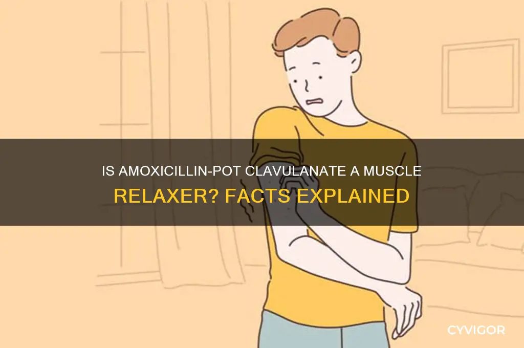 is amoxicillin-pot clavul a muscle relaxer