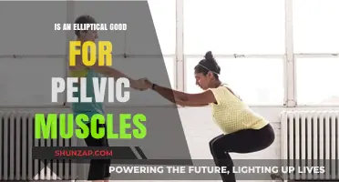 Elliptical Training: Benefits for Pelvic Floor Strength and Health