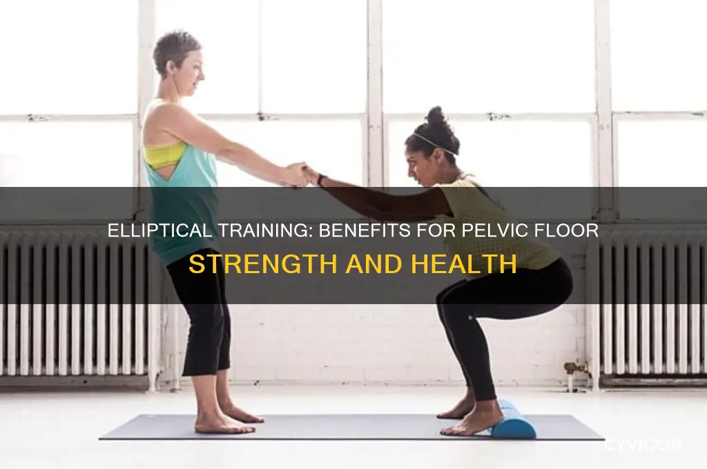 is an elliptical good for pelvic muscles
