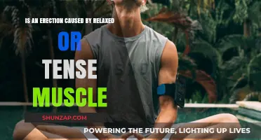 How Erections Work: Relaxed or Tense Muscles?