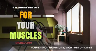 Inversion Table Benefits: Muscle Relief, Strength, and Flexibility Explained