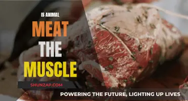 Animal Meat: Is It All Muscle Tissue?