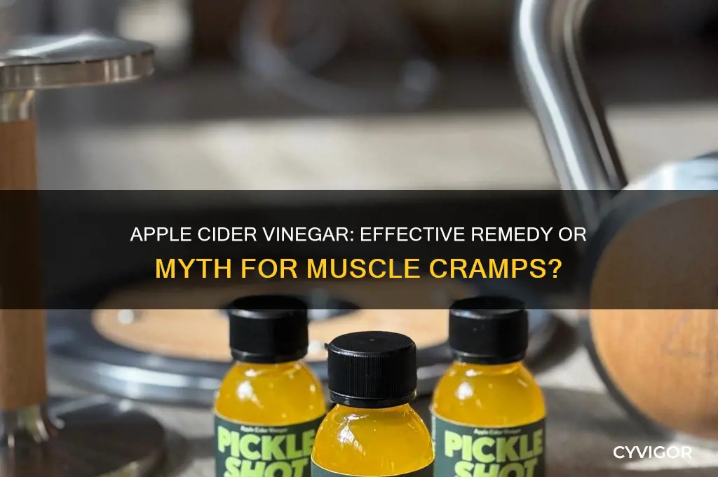 is apple cider vinegar a good preventitive for muscle cramps