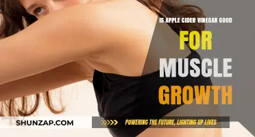Apple Cider Vinegar and Muscle Growth: Fact or Fiction?