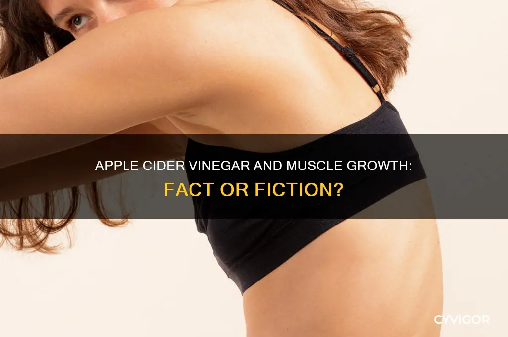 is apple cider vinegar good for muscle growth