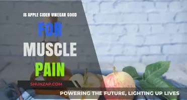Apple Cider Vinegar for Muscle Pain: Effective Remedy or Myth?