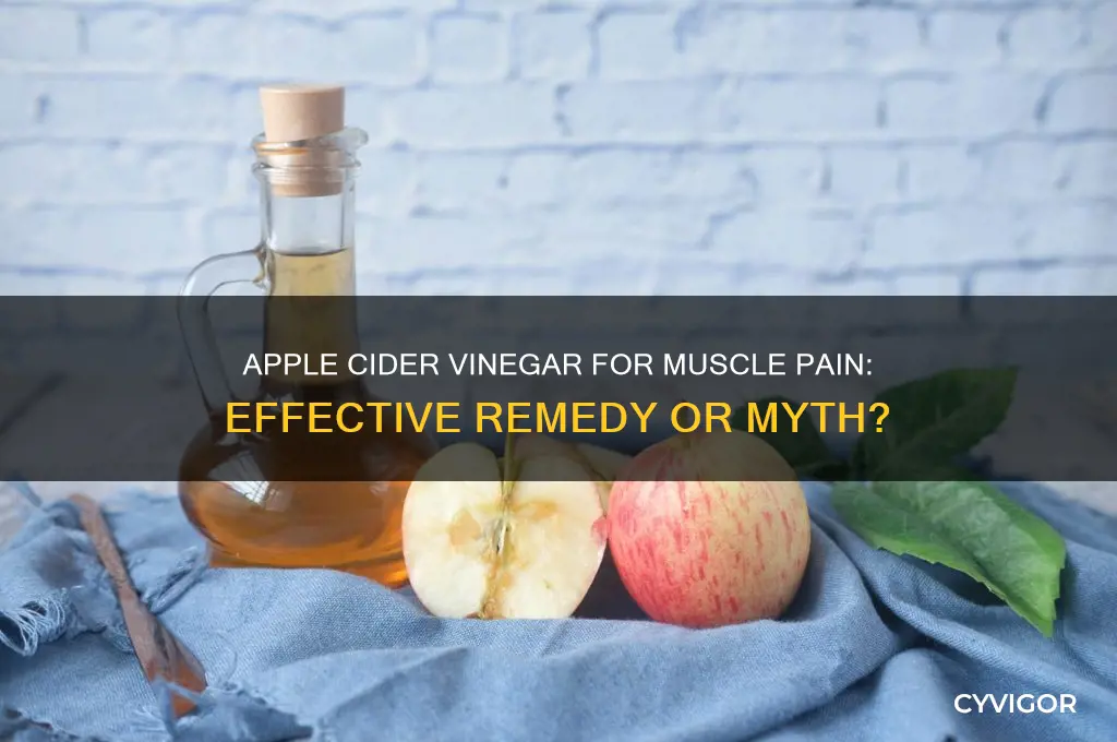 is apple cider vinegar good for muscle pain
