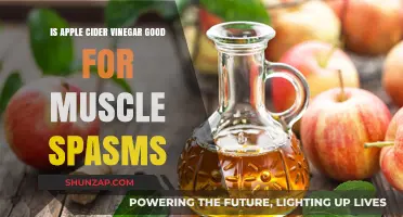 Can Apple Cider Vinegar Relieve Muscle Spasms? Facts and Insights