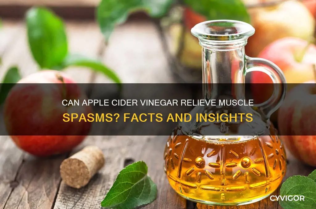 is apple cider vinegar good for muscle spasms