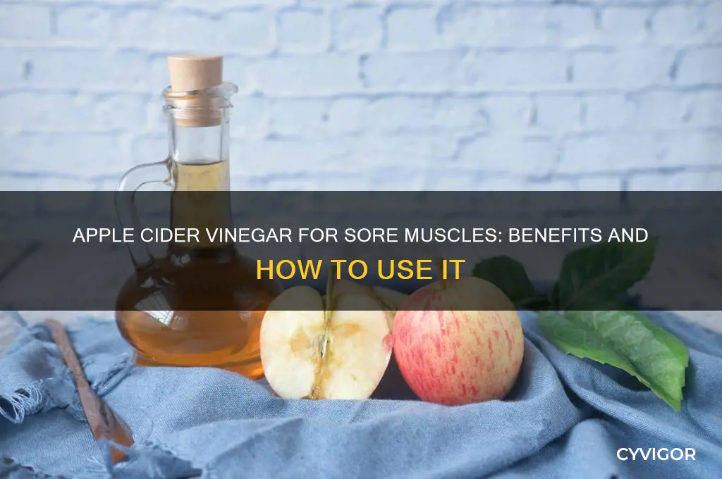 is apple cider vinegar good for sore muscles