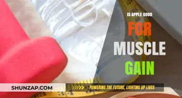 Can Apples Boost Muscle Growth? Nutrition Facts and Fitness Benefits