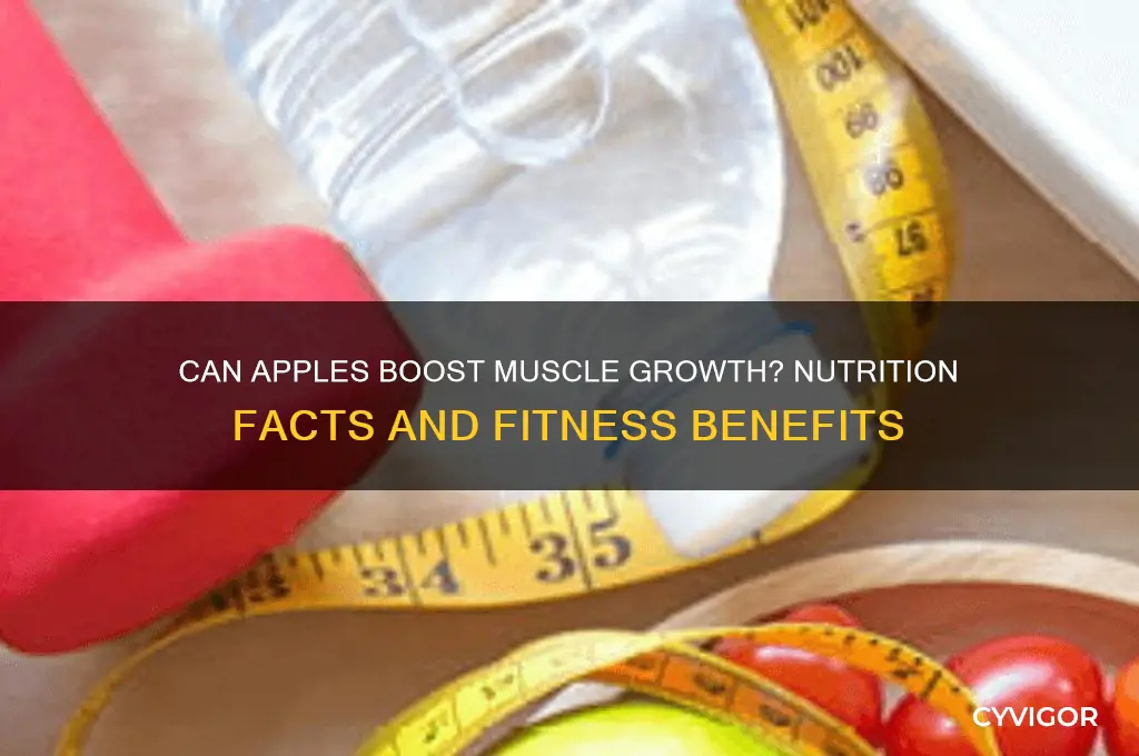is apple good for muscle gain