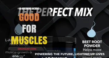 Is Arginine Acidic Beneficial for Muscle Growth and Recovery?